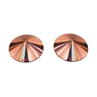 Coquette Pleasure Collection Rose Gold Pasties