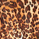 Cheetah/Leopard Print